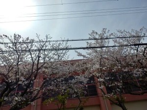 �̻��ܾ��ع��κ�2026-04-06