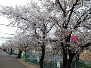 4/2ͼ���ζ̶���褤�κ�����