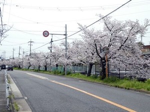 �̶���褤�κ����ڡ�2024ǯ��