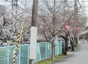 3/24�����ζ̶���褤�κ����ͻ�