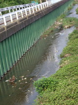 ���륬��Ȳ�ή���ͻ�