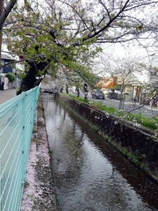 �պ�����Ω���Ϥ᤿�̶���褤�κ��θ���4/2ͼ��