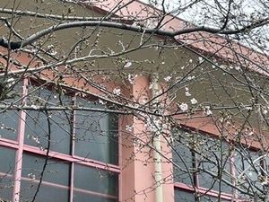 �̻��ܾ��ع��κ�