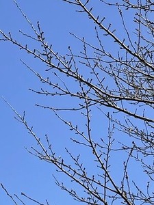 ��Ω�ߤɤ������⹻�κ����ͻҡ�2023ǯ3/20��