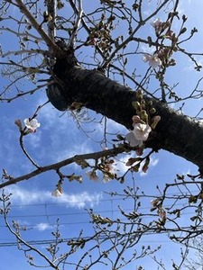 �̶���褤�κ��θ��ڤ�����3��28��