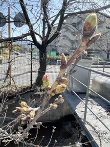 ���θ��ڤ�鲤��ͻҡ�2023ǯ3/20��