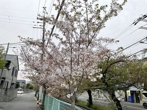 ĤäƤ륽ᥤ襷κβ2