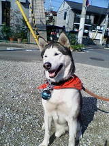 ����ǥ���2006