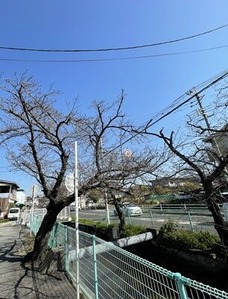 �̶���褤�Υ��ᥤ�襷�κ��θ���