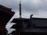 �����Ӥ��鸫�����ŷ�����θ޽���