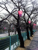 �̶���褤�˼���դ���줿�ܥ�ܥ�