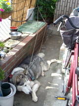 û������