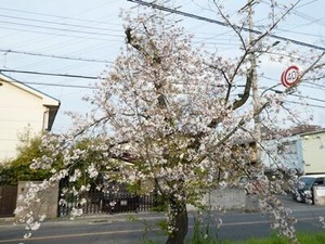 4/2ͼ���ζ̶���褤�κ��θ���