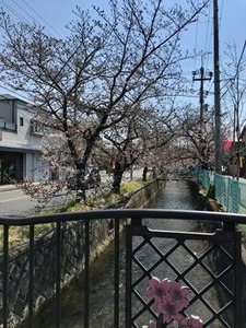 ̶褤Υᥤ襷0404-7
