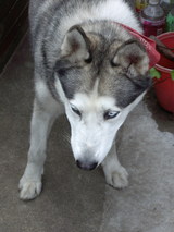 ����ǥ���UP