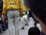 �ڥ󥮥�ѥ졼��1