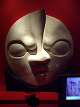 ������Ϻ����