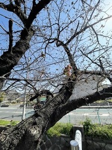 �̶���褤�κ��θ��ڤ�鲡�2023ǯ3/20��