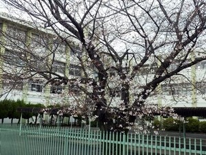 3/24ī����Ω�ߤɤ������⹻�κ�