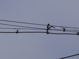 �ĥХ�UP2