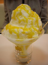 ���ʲ֥ޥ󥴡�