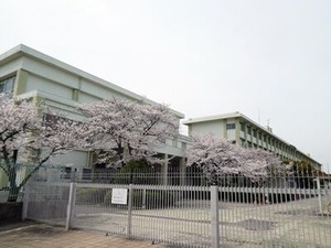 �ߤɤ������⹻�ΰ�����κ�����