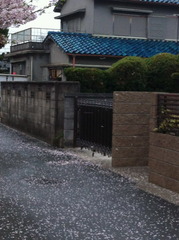 �����ǲ֤Ӥ餬�����ƻϩ