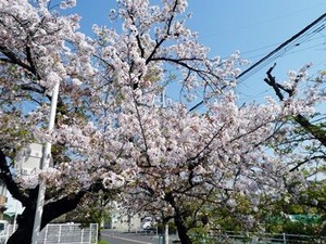 �̻��ܥХ���᤯�κ��θ���4/4