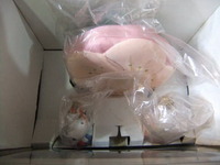 お片づけ中のスヌーピー雛