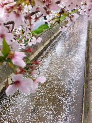 �����Ƕ̶���˲�ȵ