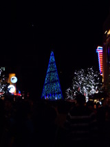 �ĥ꡼�ο��Ѳ����Ŀ���