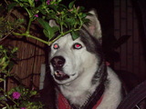 hspace=5