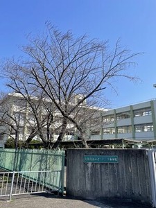 ��Ω�ߤɤ������⹻�Υ��ᥤ�襷�κ����ͻҡ�2023ǯ3/20��