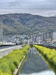 ����������ĺ�᤯�ޤ��褿����