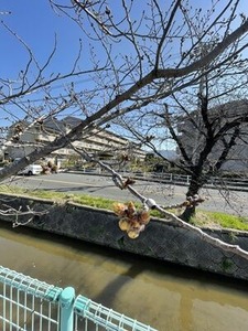 �̶���κ��μ��ڤ�鲡�2023ǯ3/20��