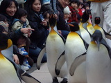 �ڥ󥮥�ѥ졼��4