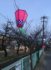 玉串川沿いに付けられた雪洞2017