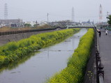 �ڤβ֤��餯�����������
