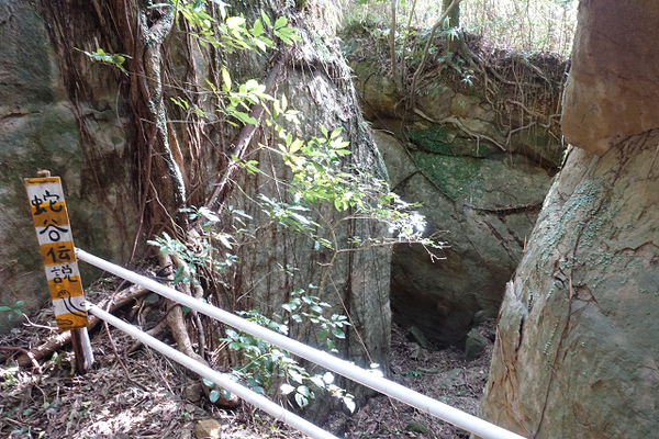 resize0204
