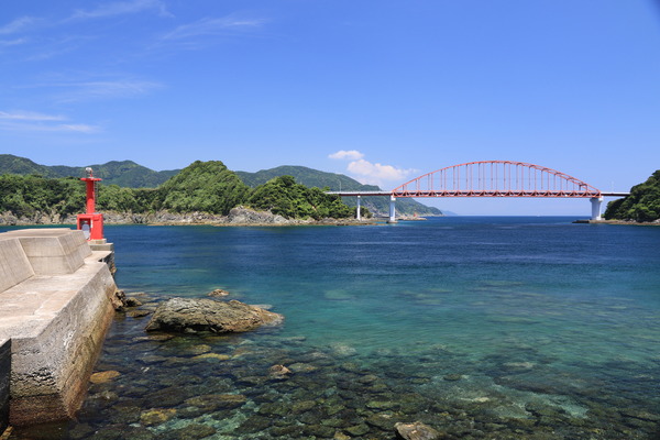 A89A8249