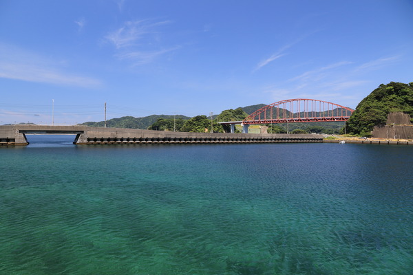 A89A8236