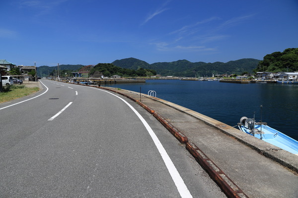 A89A8241