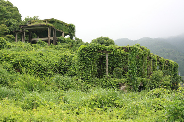 resize0046