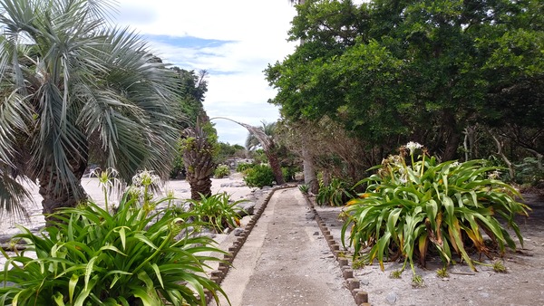 IMG00372_HDR