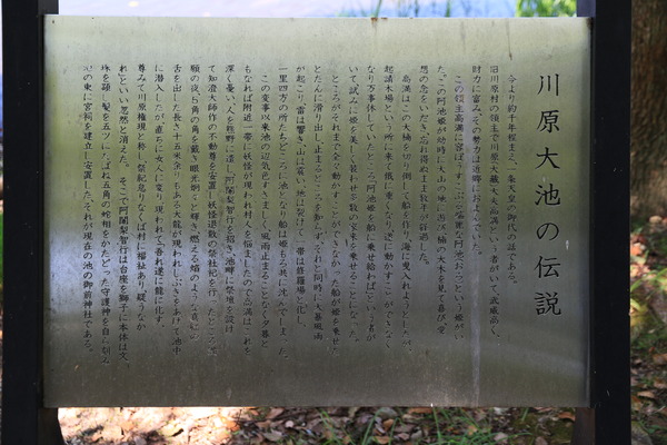 A89A8185