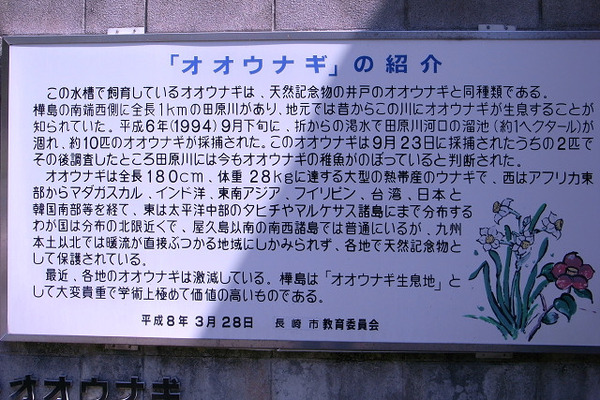 resize0092
