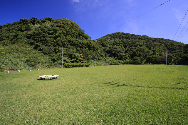 75c2631c.jpg