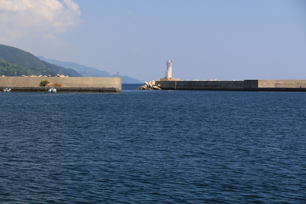 A89A8233-1