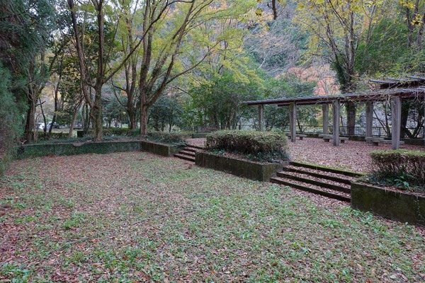 s-DSC05720