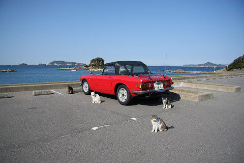 c11071db.jpg
